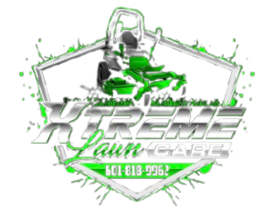 IMG_4374-removebg-preview