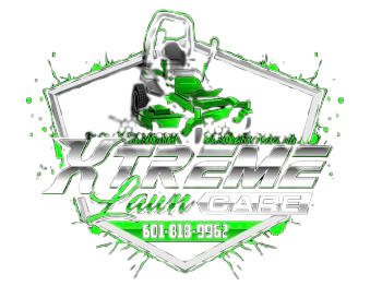 IMG_4374-removebg-preview